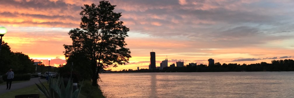 Antonia Siegmund banner