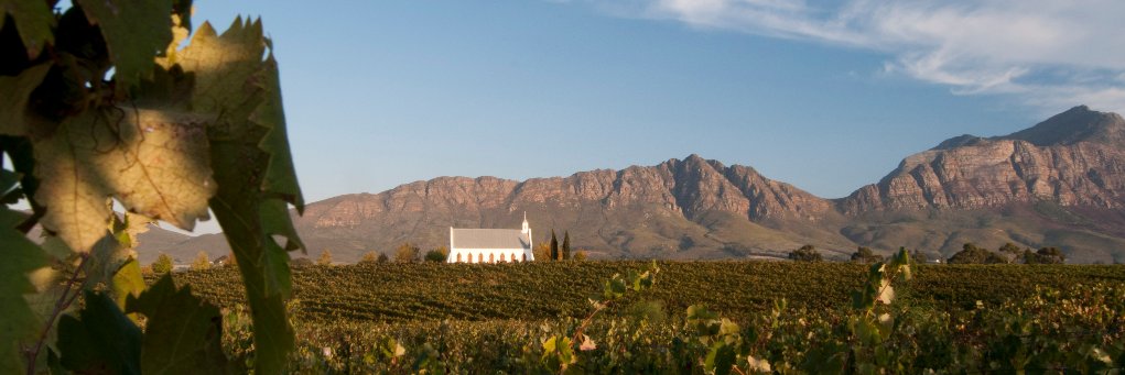 Montpellier Wine banner