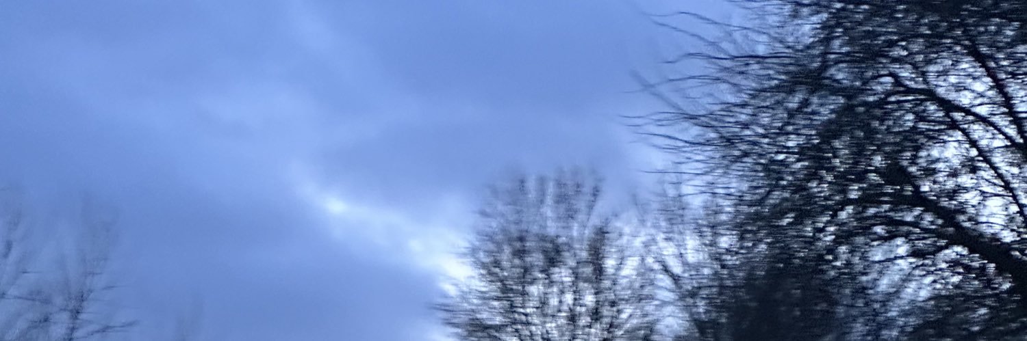 🏴󠁧󠁢󠁳󠁣󠁴󠁿 blume 🏳️‍⚧️'s banner