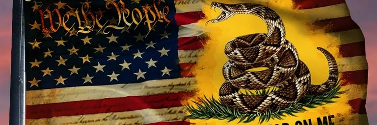 Arma Libertas banner
