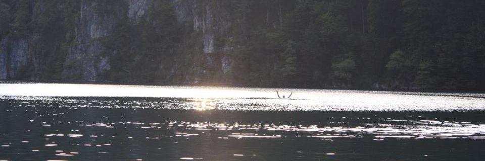 jbhurt's profile banner image