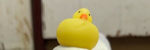 D_only_bee Profile Banner