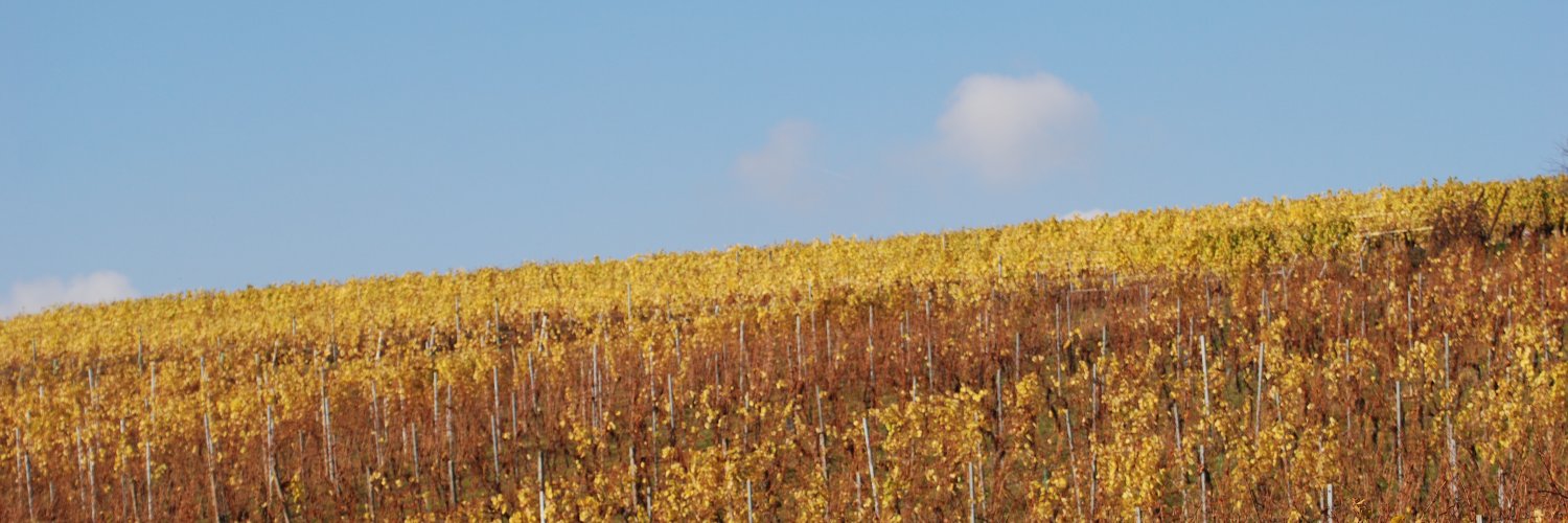 Alberto Vitale banner