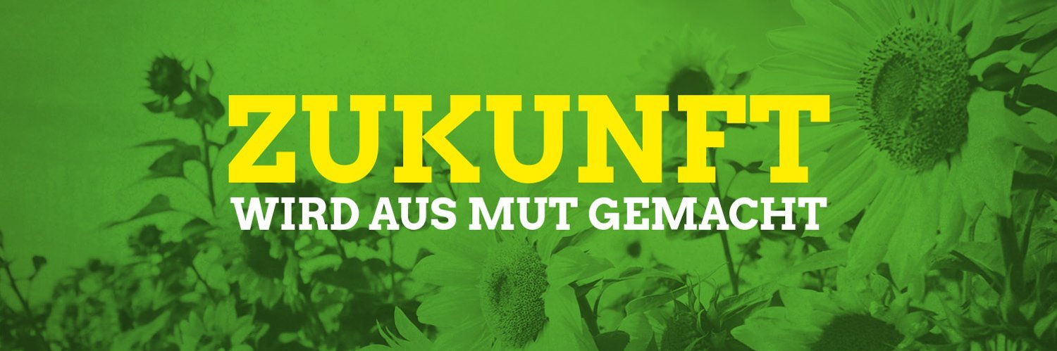 DIE GRÜNEN Offenbach banner