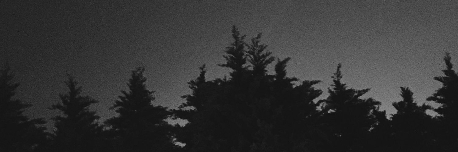 JustHavinFun banner