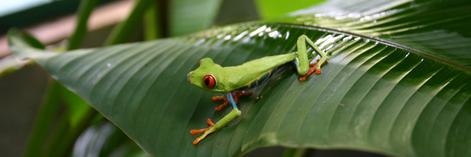 Futurefornature's profile banner image