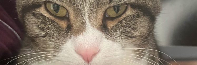 The Wolf of Peachtree Street banner