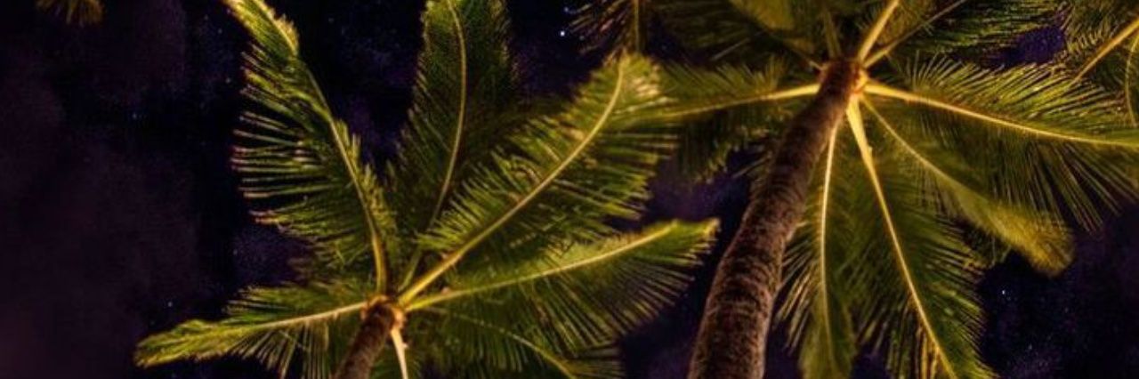 K. banner