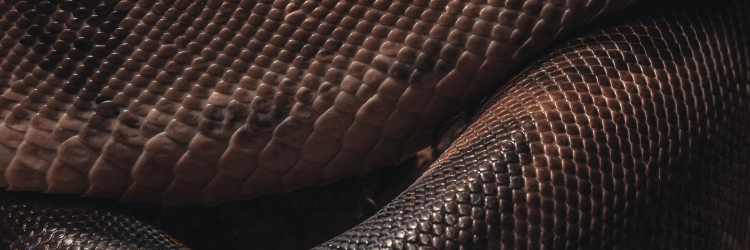 artemisnym's profile banner image