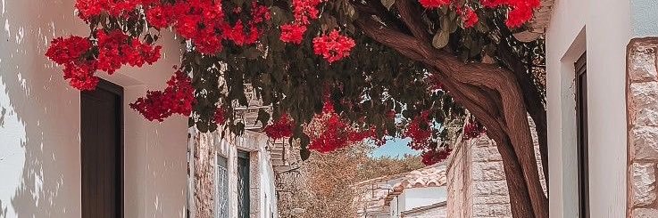 amr___aa's profile banner image