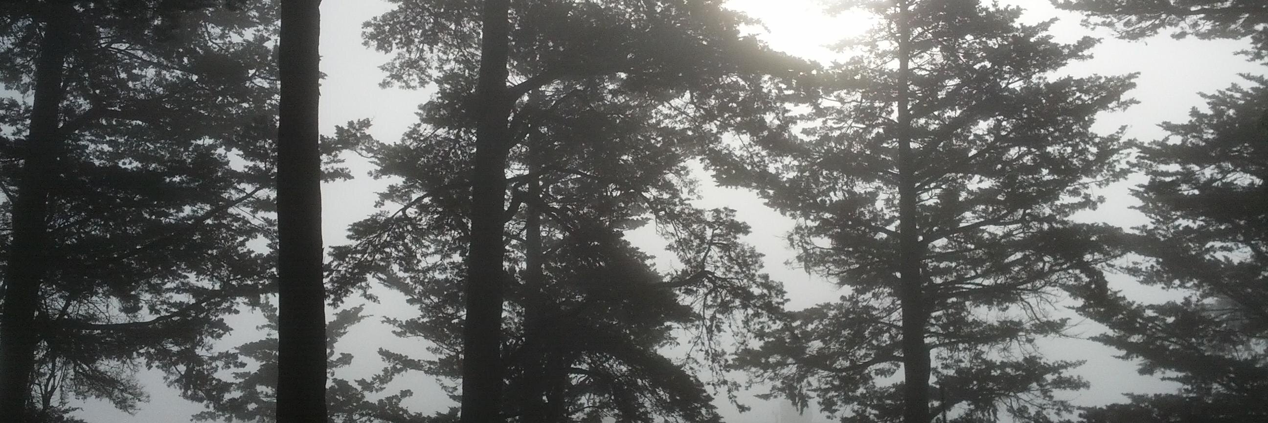 JenningsChrist's profile banner image