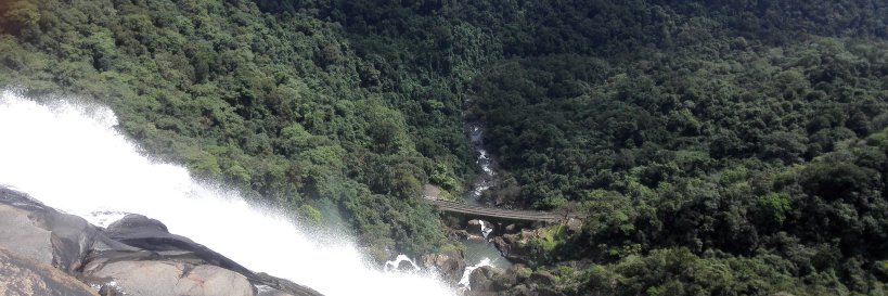 virgosagar's profile banner image