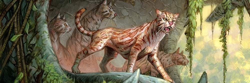 Capirogato's human banner