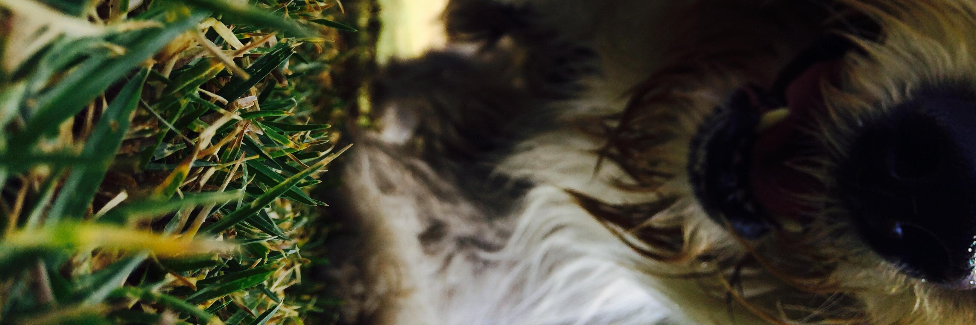 berumen's profile banner image