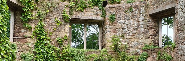 alchemicool Profile Banner