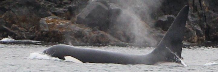 euana1's profile banner image