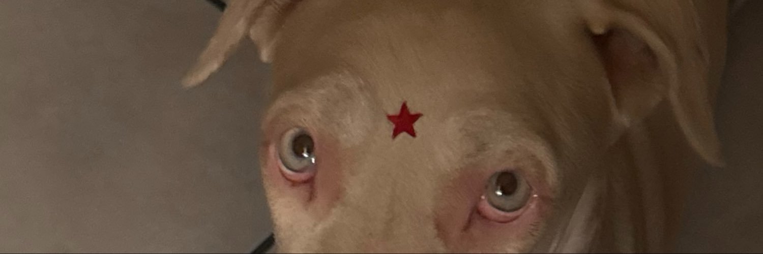 Valeriamont__'s profile banner image
