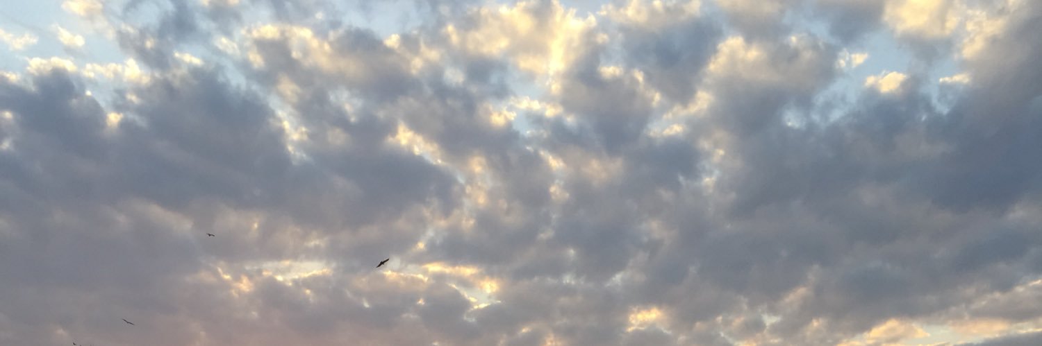FarqaviSyed's profile banner image