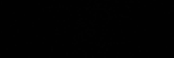 pau ♰'s banner