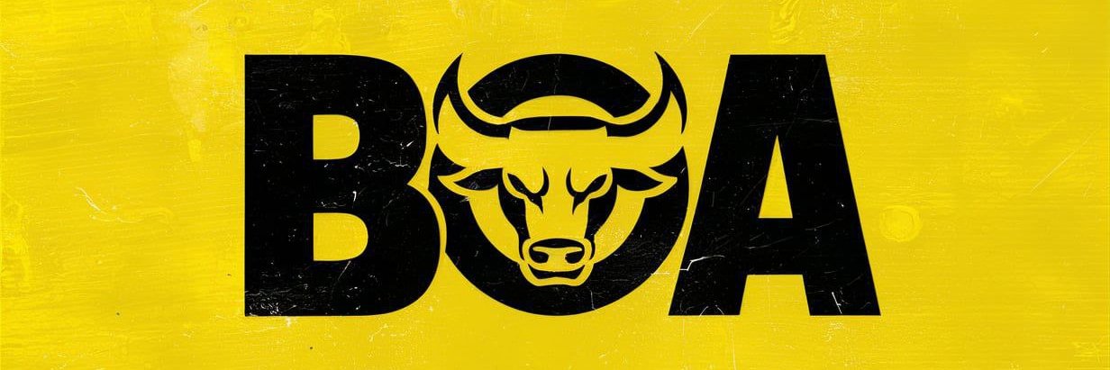 BOA Coin banner