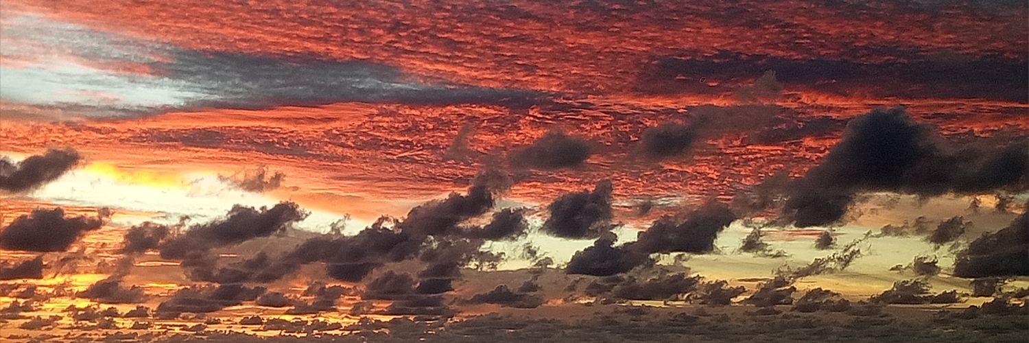 nihalmoraes's profile banner image
