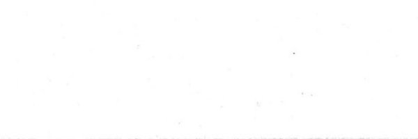 word2waddle Profile Banner