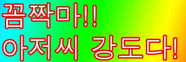 킴투스 banner