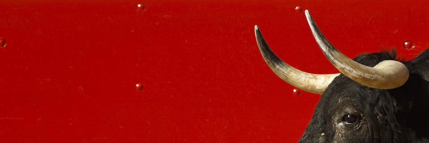 AviKat's profile banner image