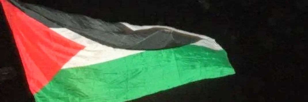 MlShafei's profile banner image
