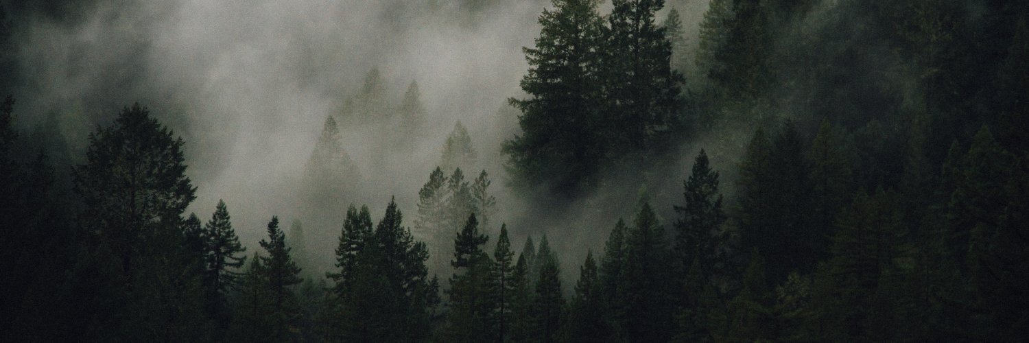 malrun238's profile banner image