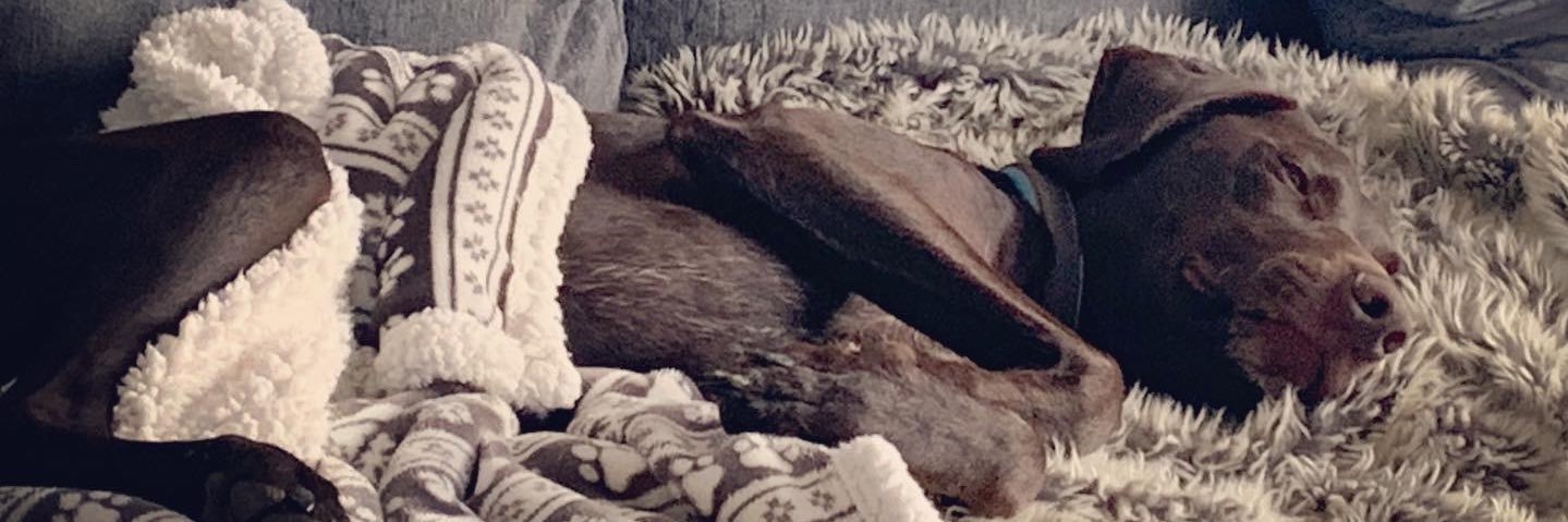 ElleJayR's profile banner image