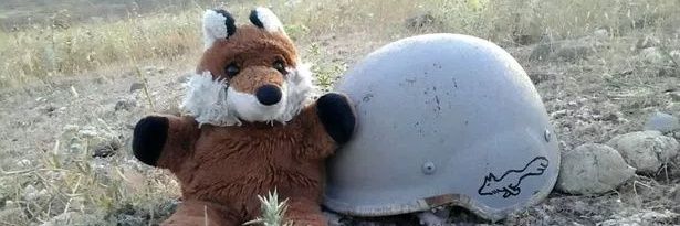 Charlie the Fox banner