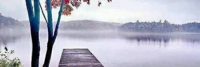 Esmail Mohamed $DROPEE “🦅 SuperIntent 🎯 banner