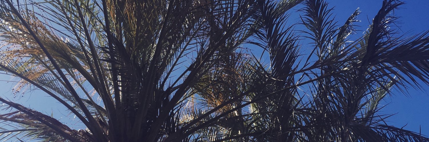 Britt133's profile banner image