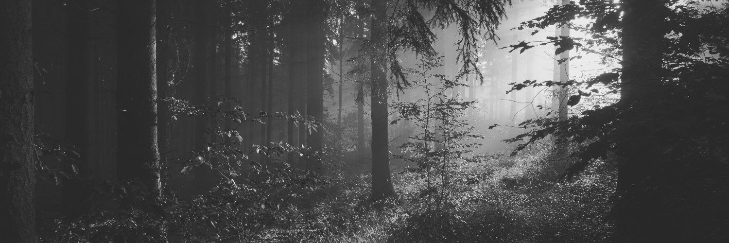 Mikulas Prokop banner