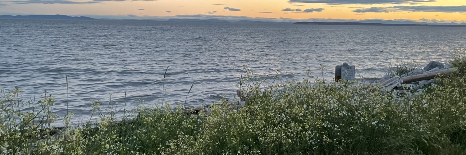 child of abundance🌸✨🌺✨ banner