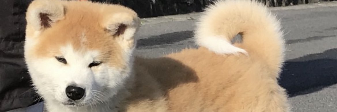iooooio_o's profile banner image