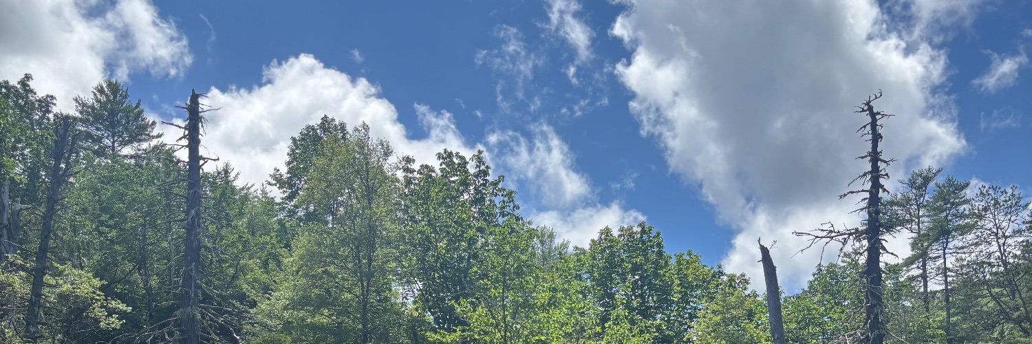 Sweet Appalachia's banner