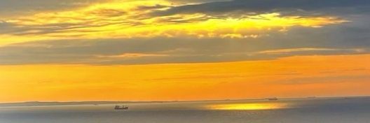 dodilihoroz's profile banner image