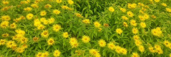 boxtastic Profile Banner