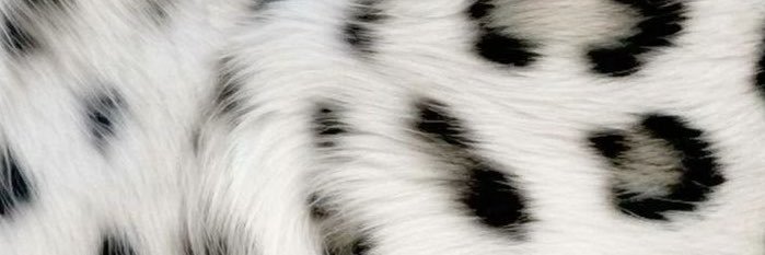 lukitauwuspro's profile banner image