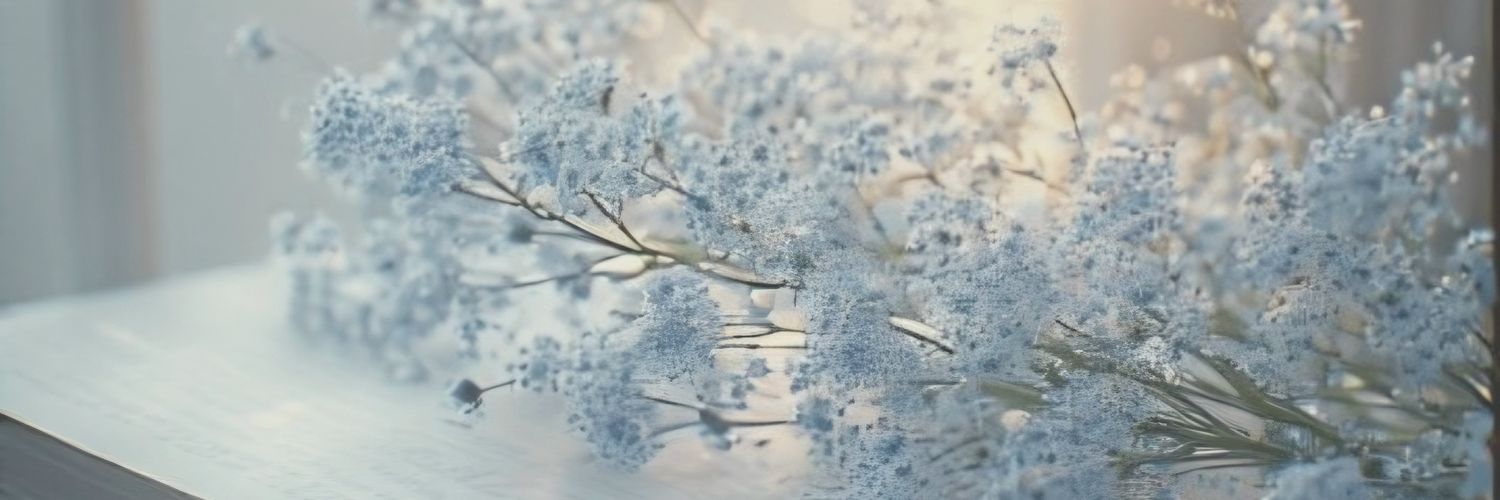 (𝚂𝚂2) 𝙴𝚛𝚒 ✩⍣ banner