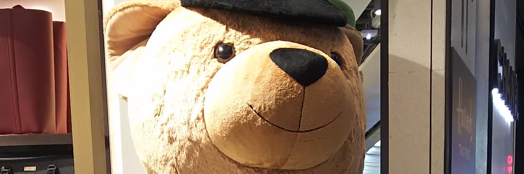 bjkuro's profile banner image
