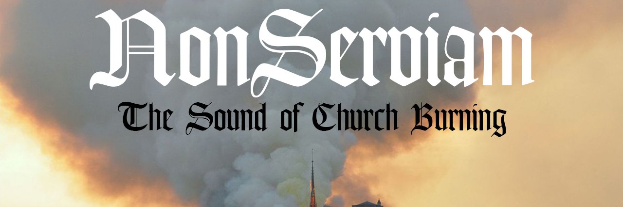 Non Serviam Collective's banner