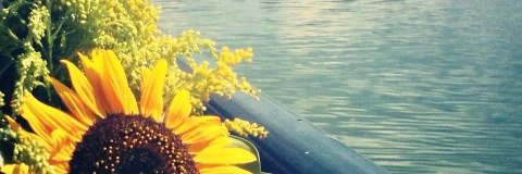 vicsmp's profile banner image