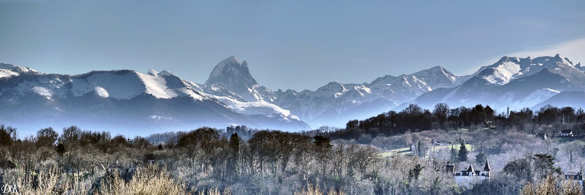Fabien Candau banner