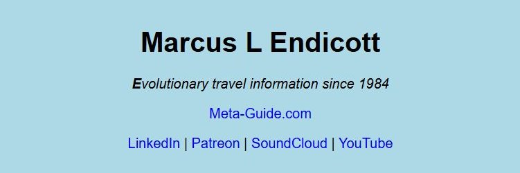 Marcus L Endicott banner