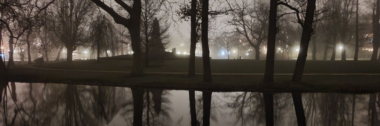 mathijsvanweerd's profile banner image