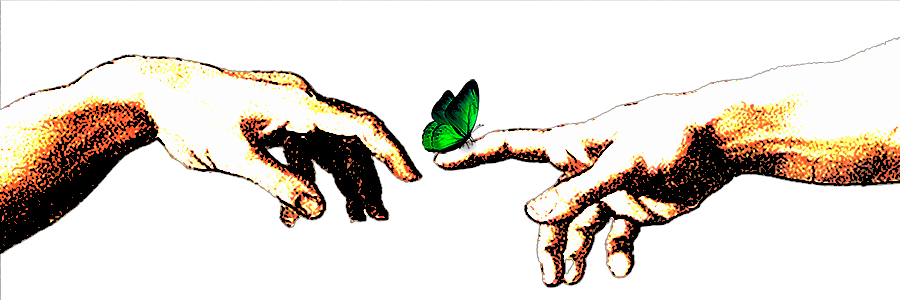 thesanemule's profile banner image