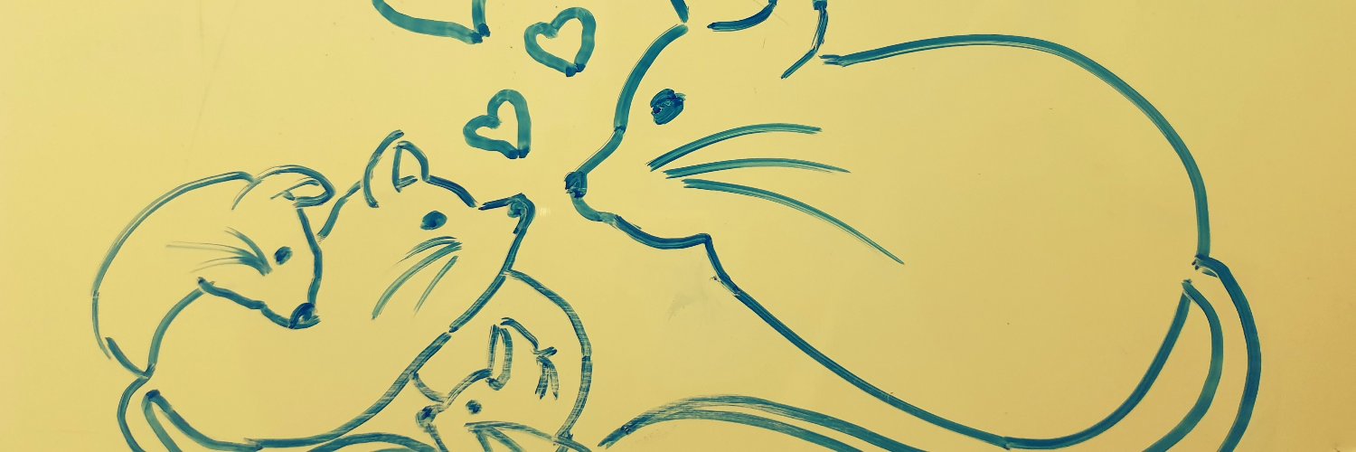 Agata_Stramek's profile banner image